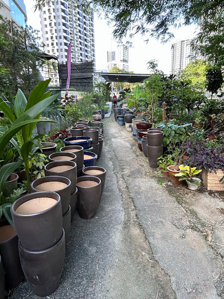 Adrita Garden 2 gallery