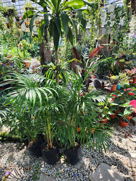 Ukay Nursery 1 gallery