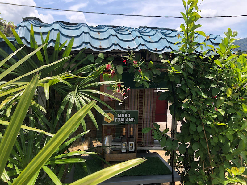 Herba Tani Nursery gallery