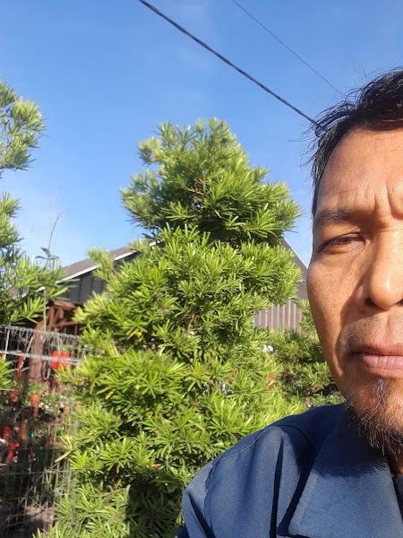 GREENLANE POTPLANT NURSERY gallery