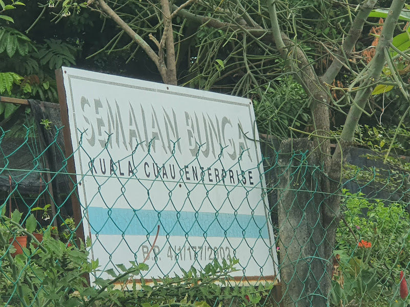 Kuala Cuau Ent Nursery gallery