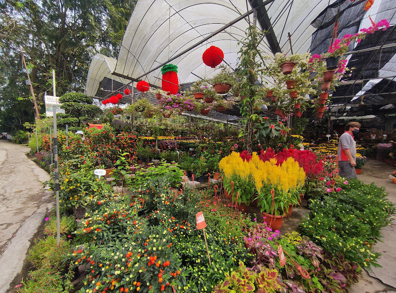 Sungai Buloh Garden Centre gallery