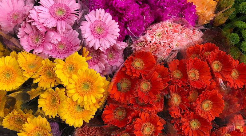 Floristika.com.my Wholesale Florist Malaysia