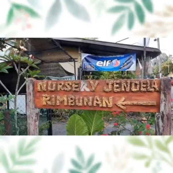 Nursery Jendela Rimbunan gallery