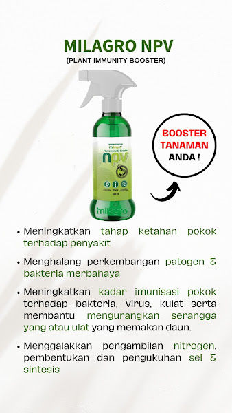 Hiydrangia Garden gallery