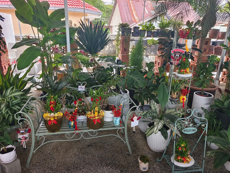 GreenSea GardenMart @ York gallery