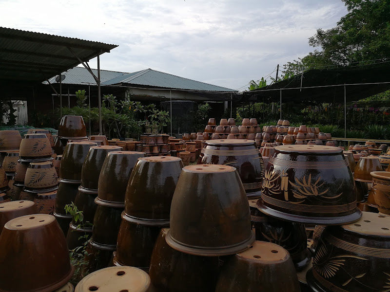 Haby Nursery & Landscape Springhill gallery