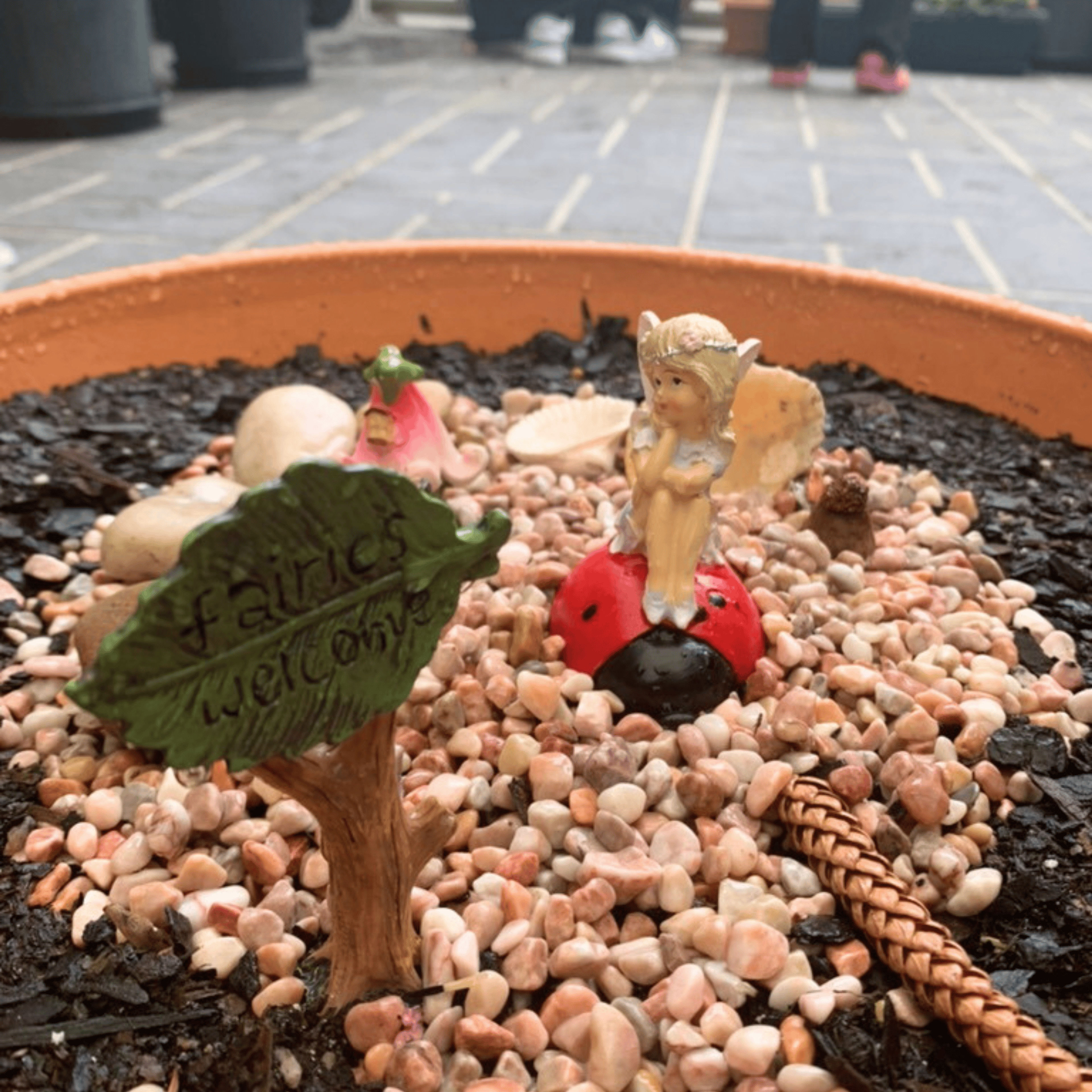 Fairy garden