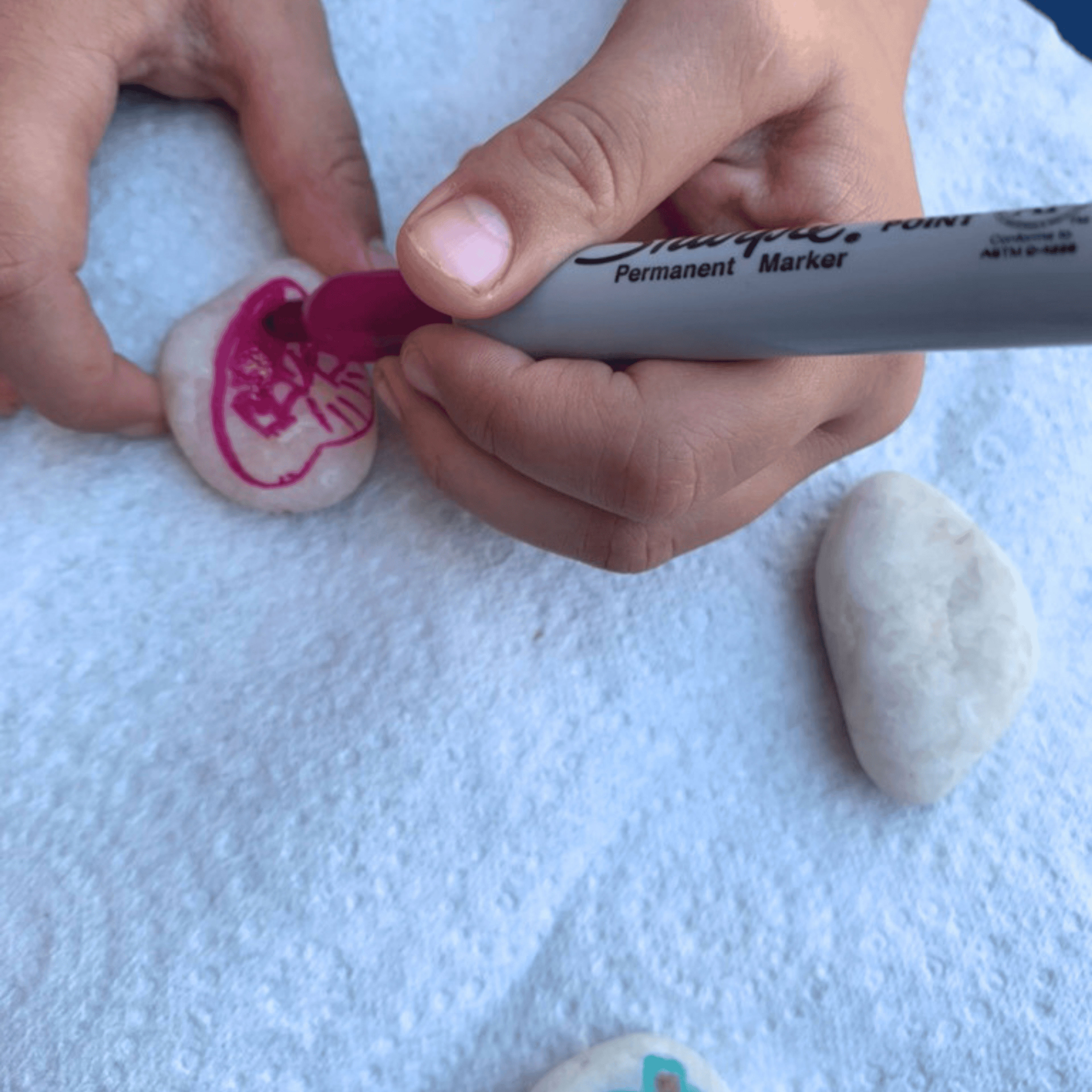 Hidden "kindness rocks"