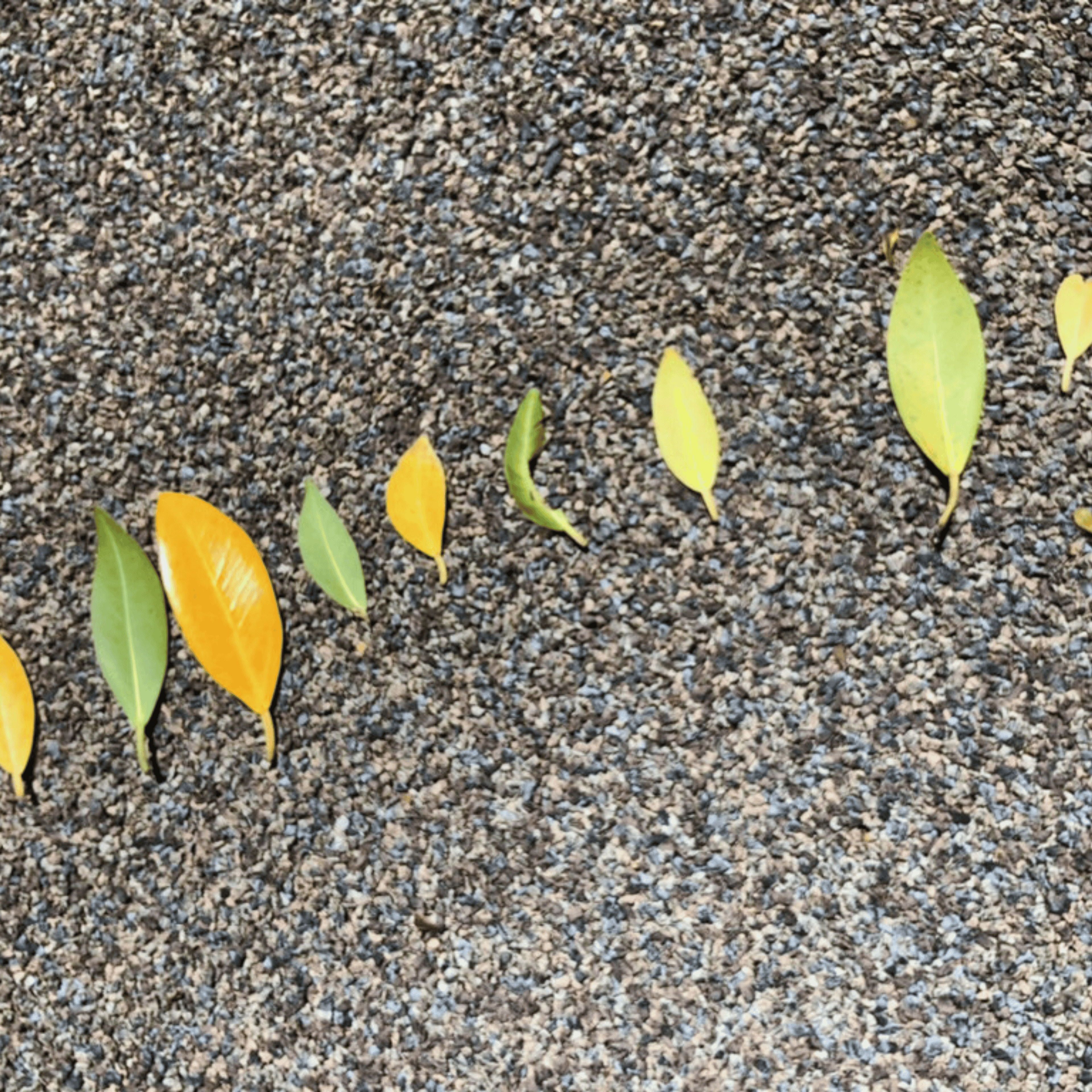 Loose parts patterns