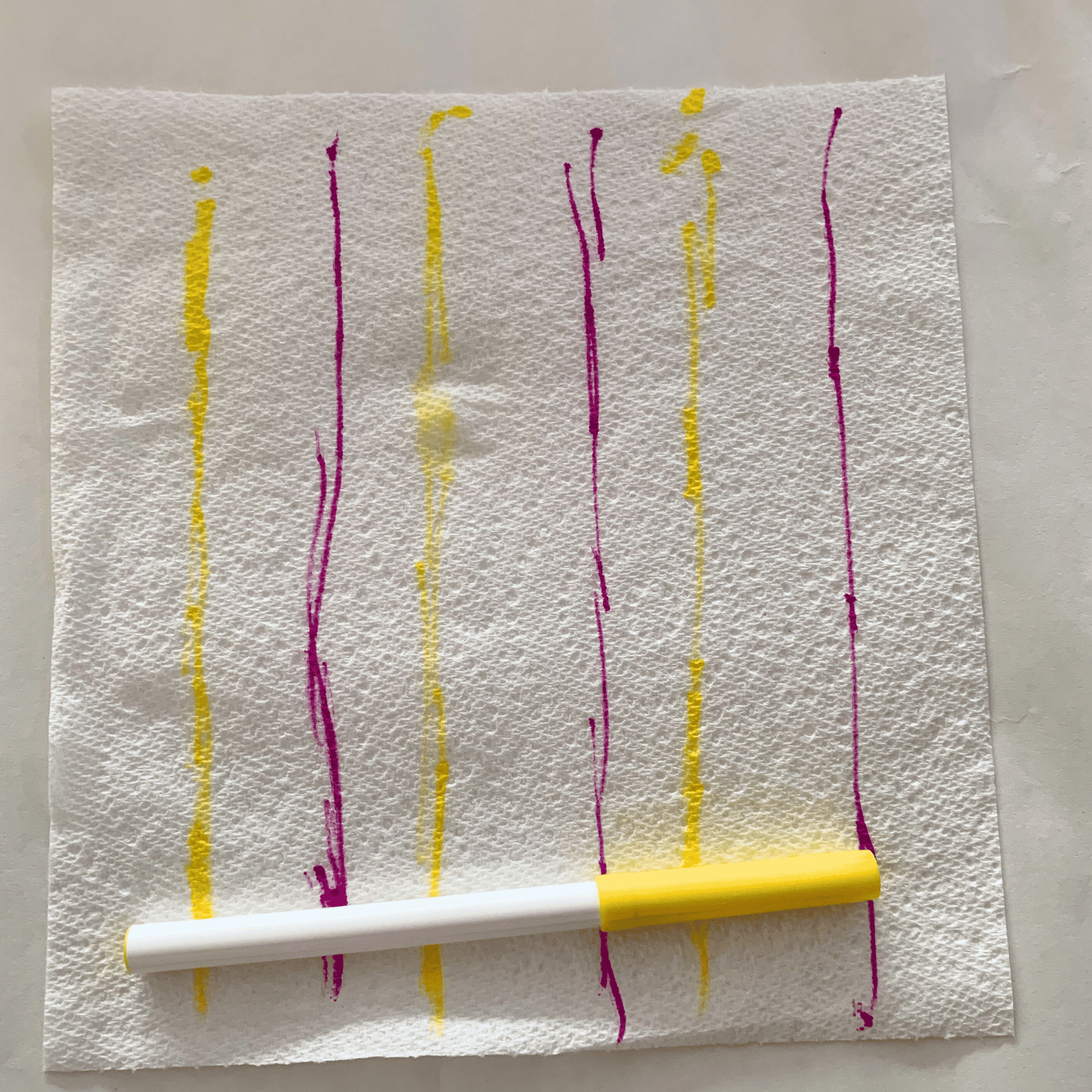 Magic growing worms experiment