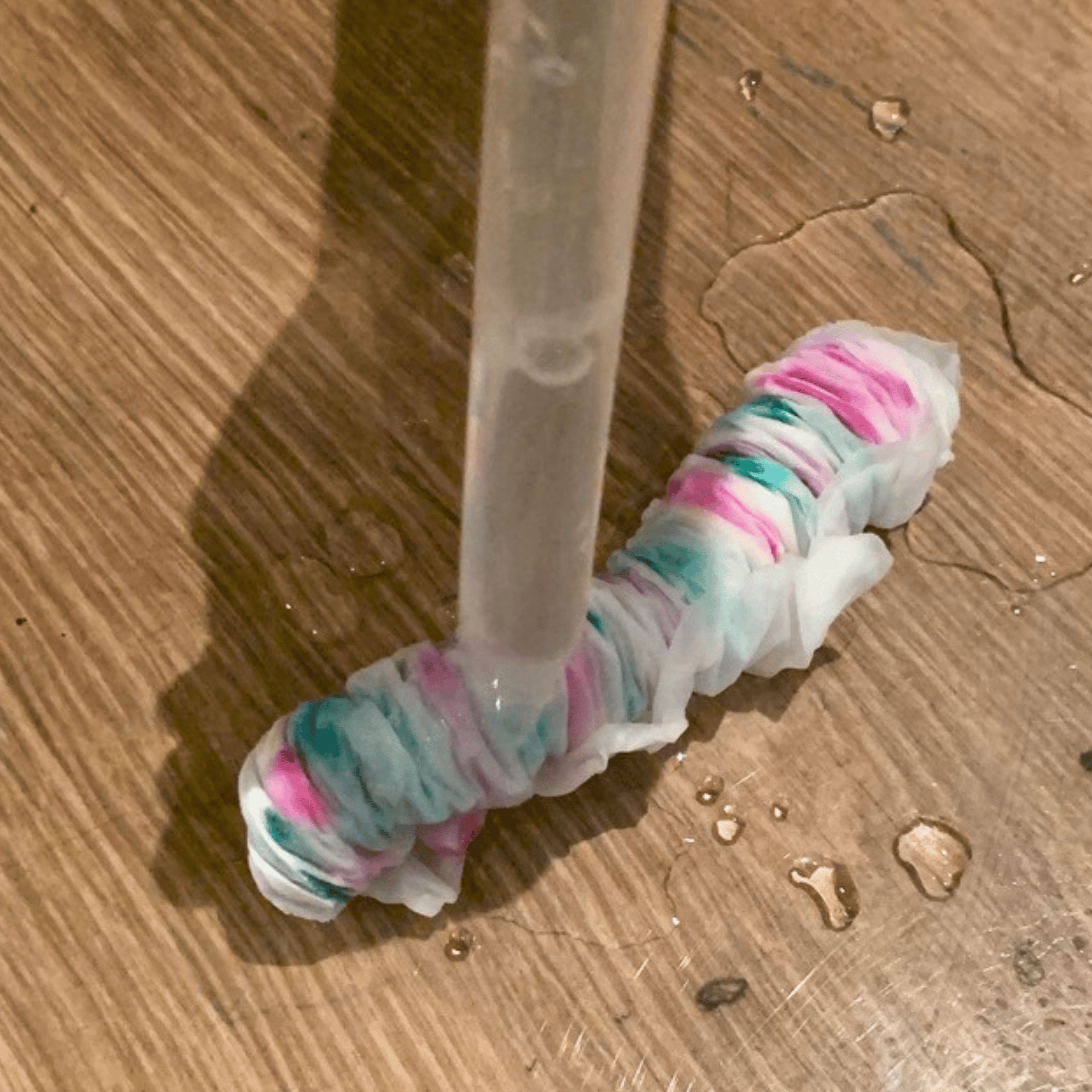 Magic growing worms experiment