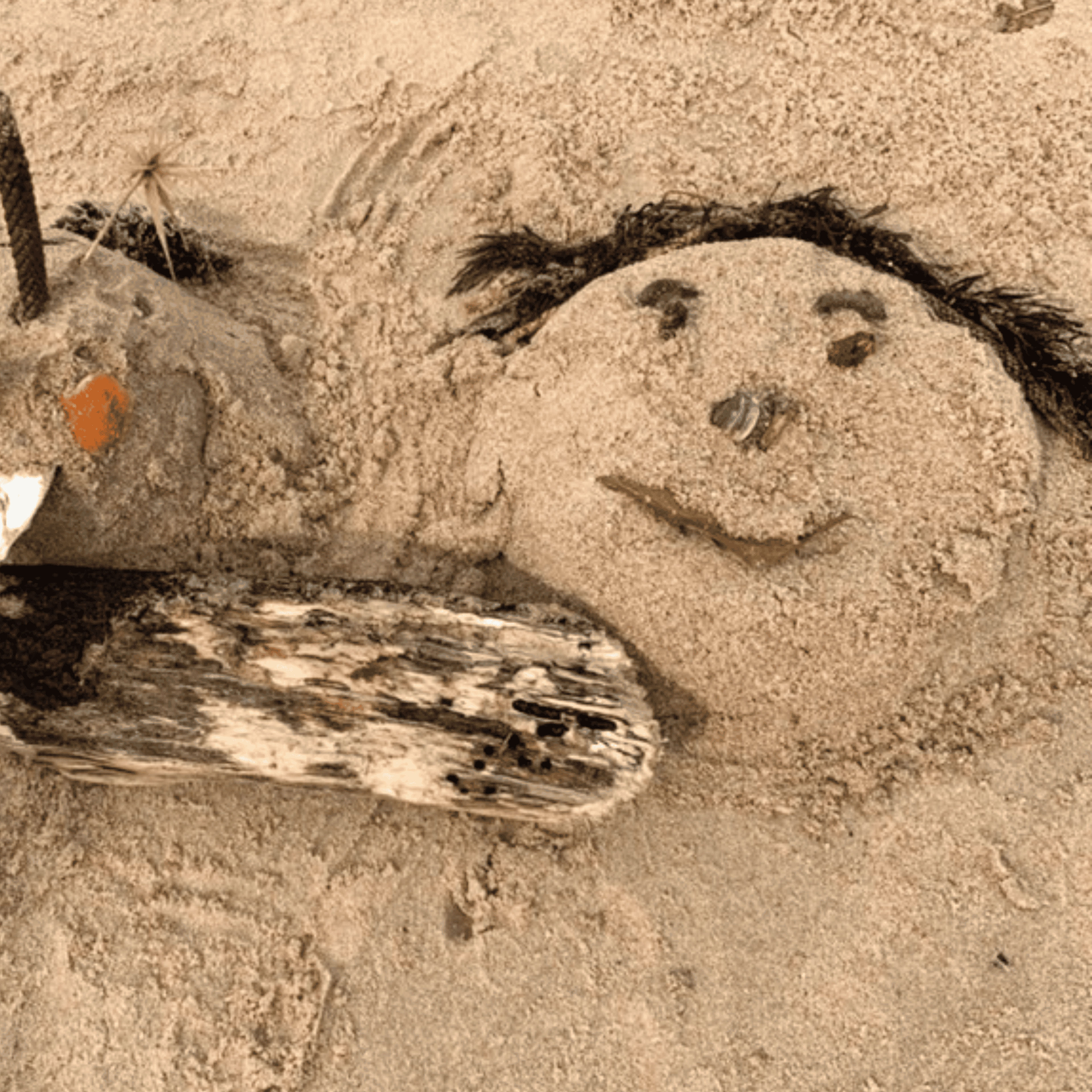 Nature faces