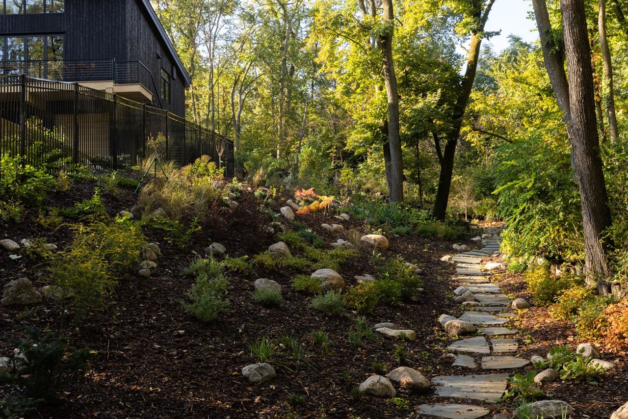 The Woods - Image 14