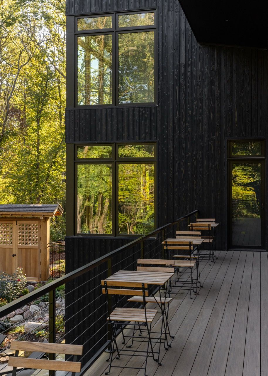 The Woods - Image 18