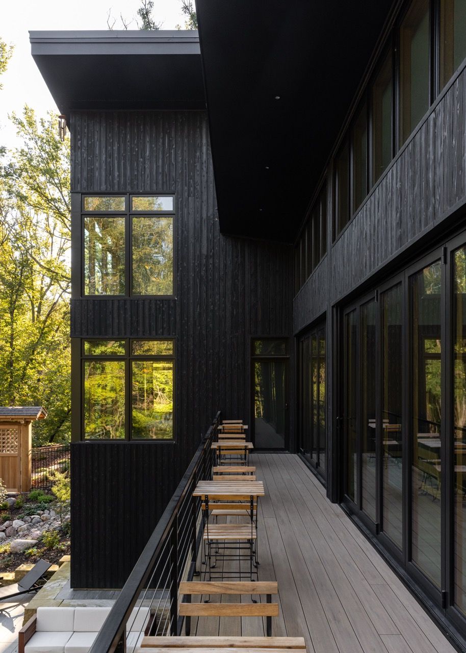 The Woods - Image 19
