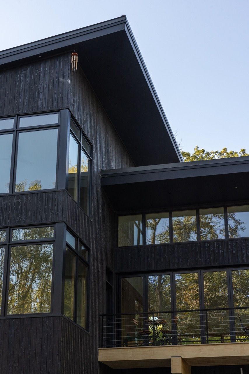 The Woods - Image 9
