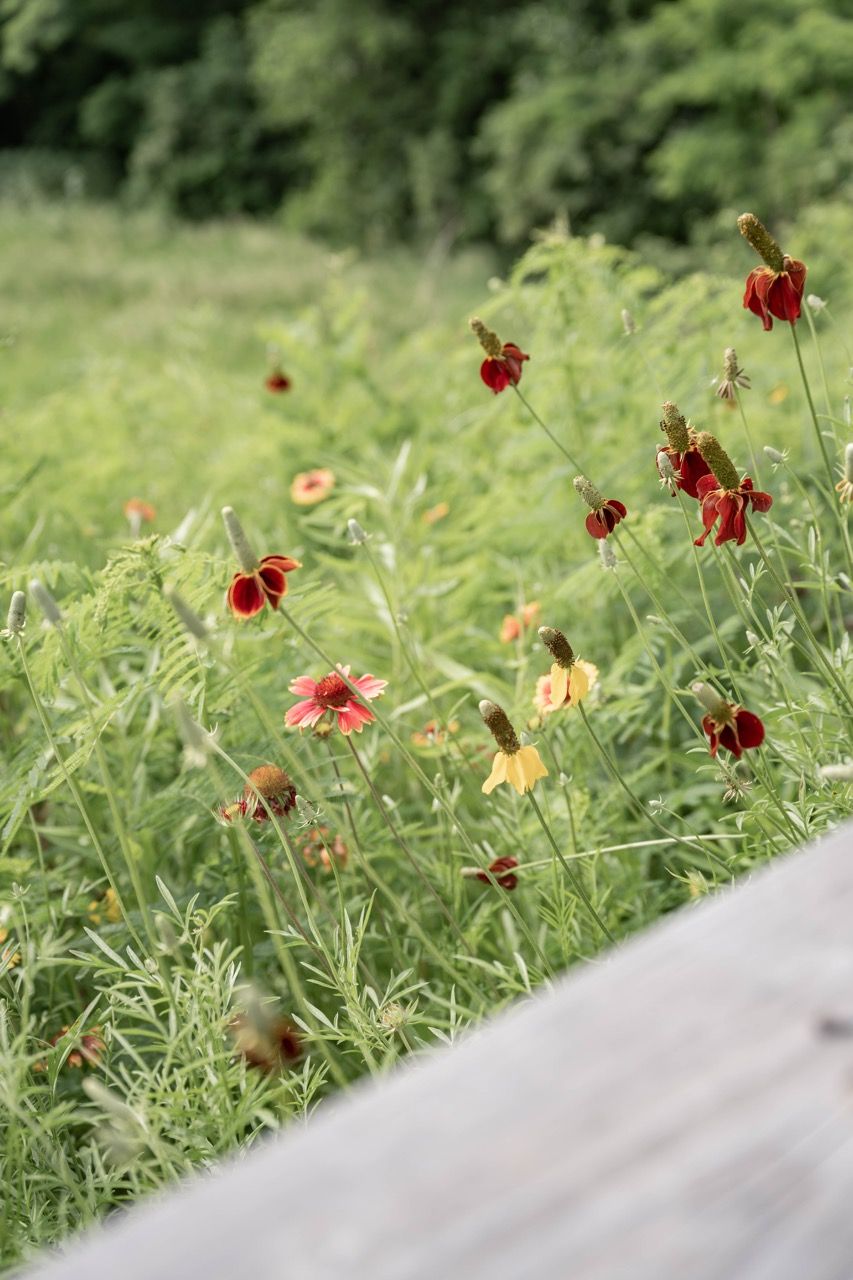 Lauritzen Gardens – Children's Gardens - Image 19