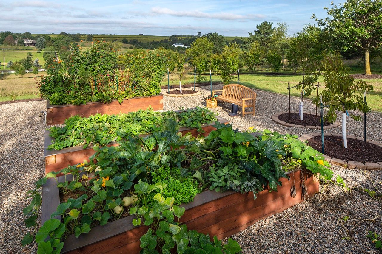 Acreage Renovation - Image 37