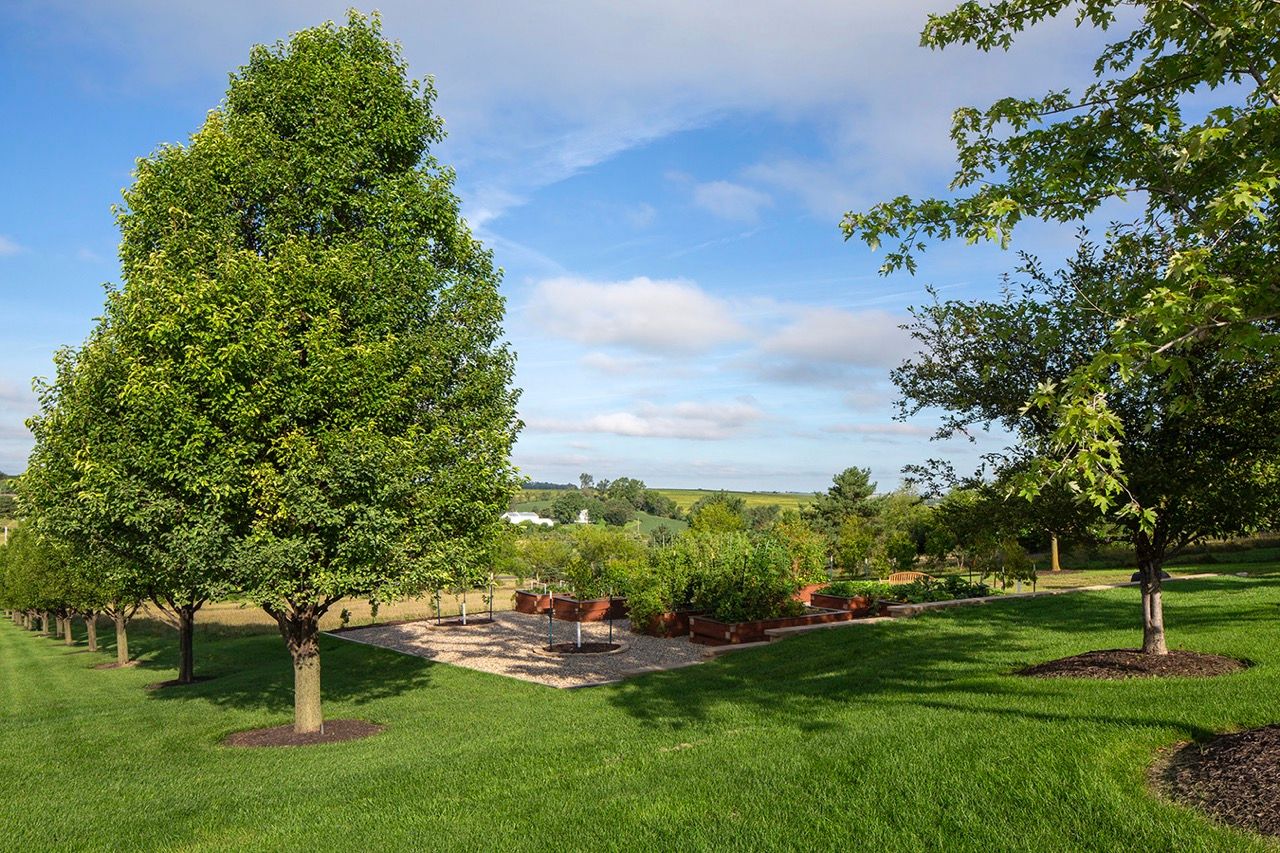 Acreage Renovation - Image 38
