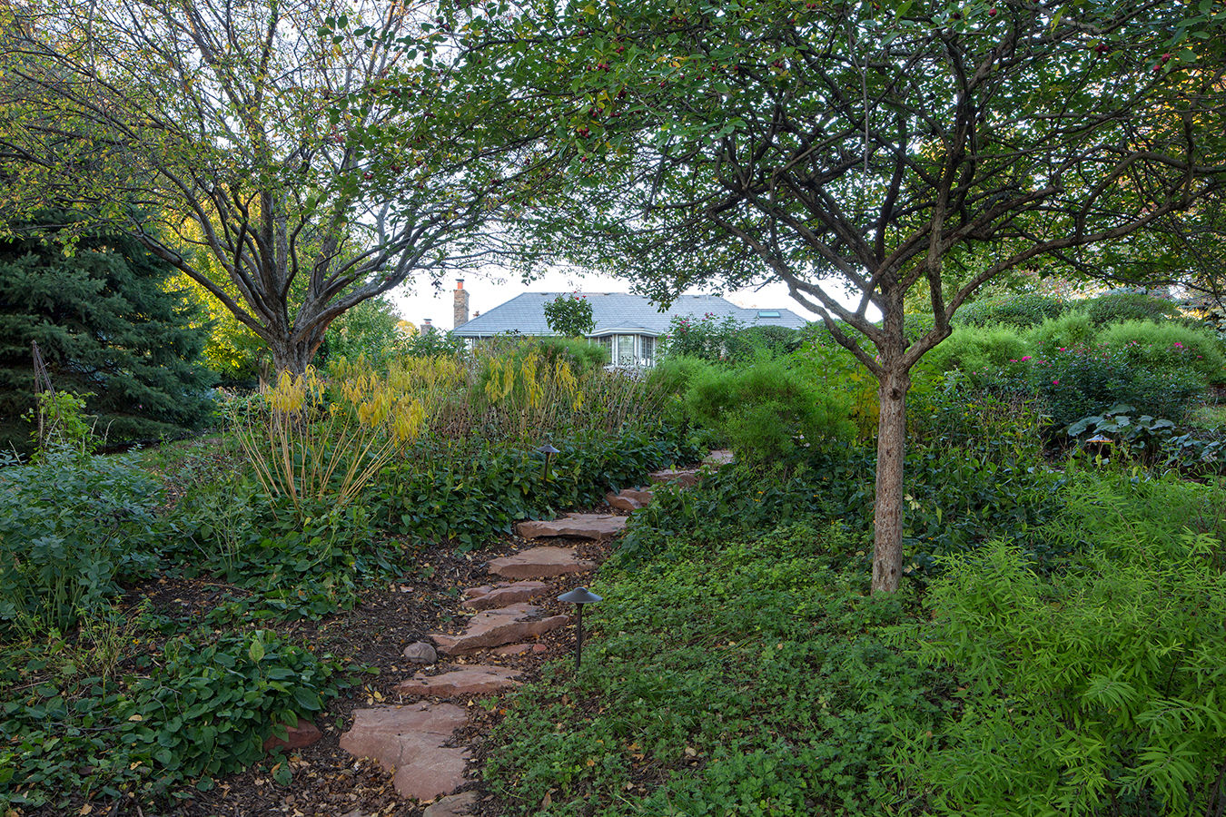 Linden Estates Renovation - Image 12