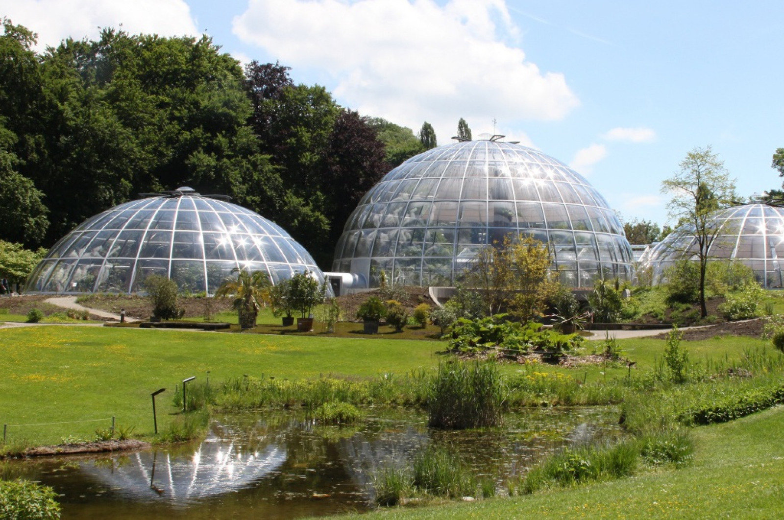 domes-for-botanic-garden-zurich-mebatech-ag