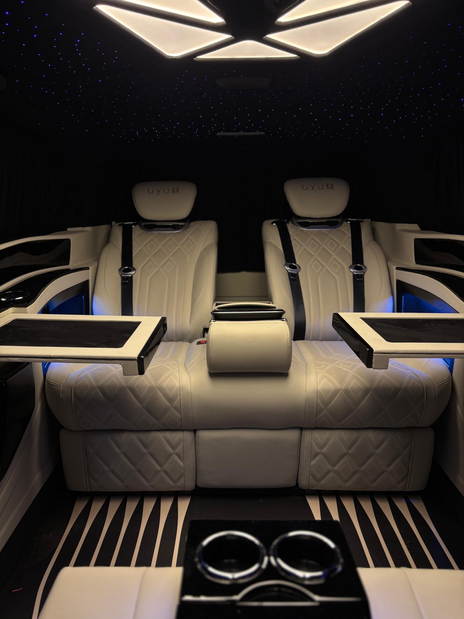Detalle del interior VIP