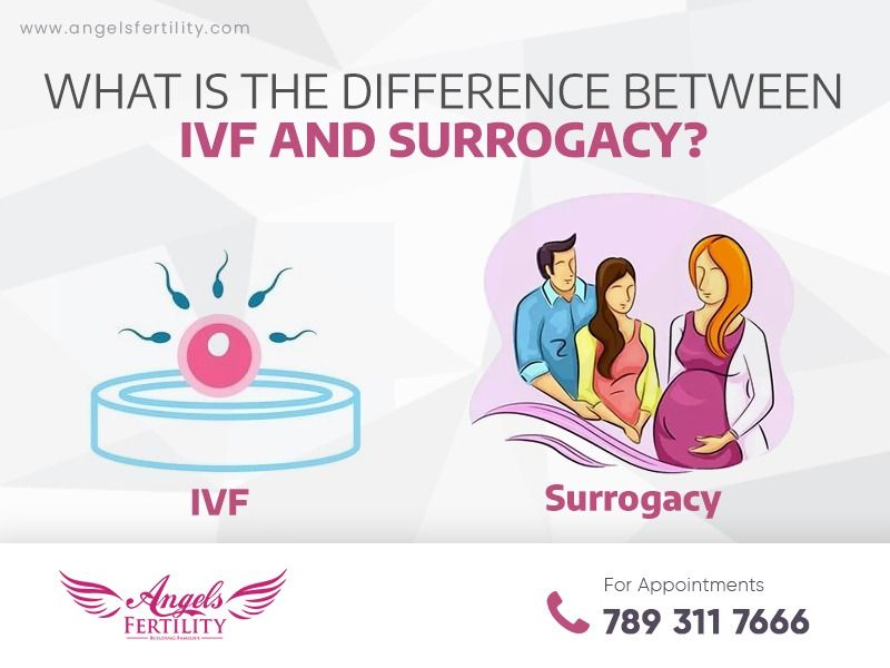 What is the Difference Between IVF and Surrogacy?