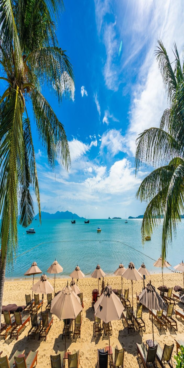 Best Tourist Places in India