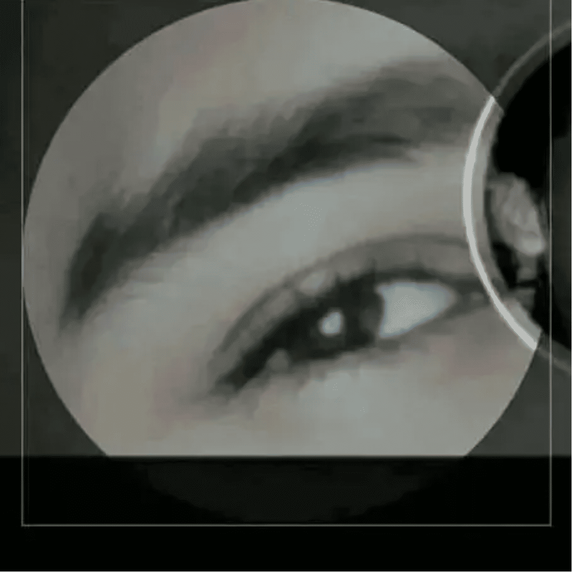 Rodrigo França de Oliveira's avatar