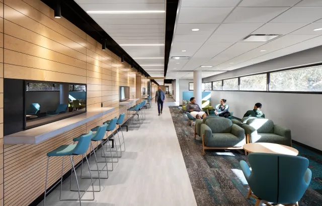University of South Florida St. Petersburg Davis Hall Renovation