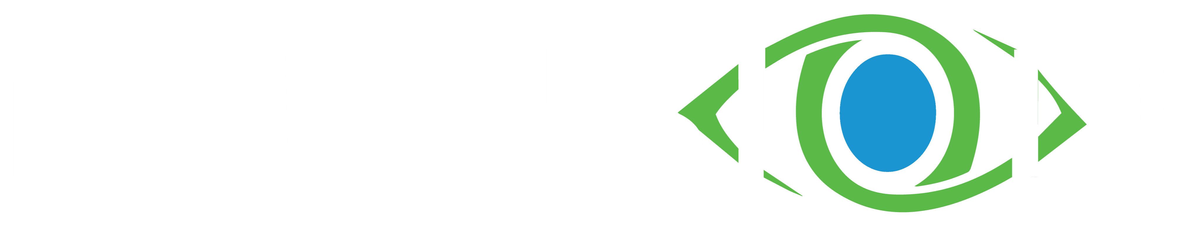 Envision Construction logo
