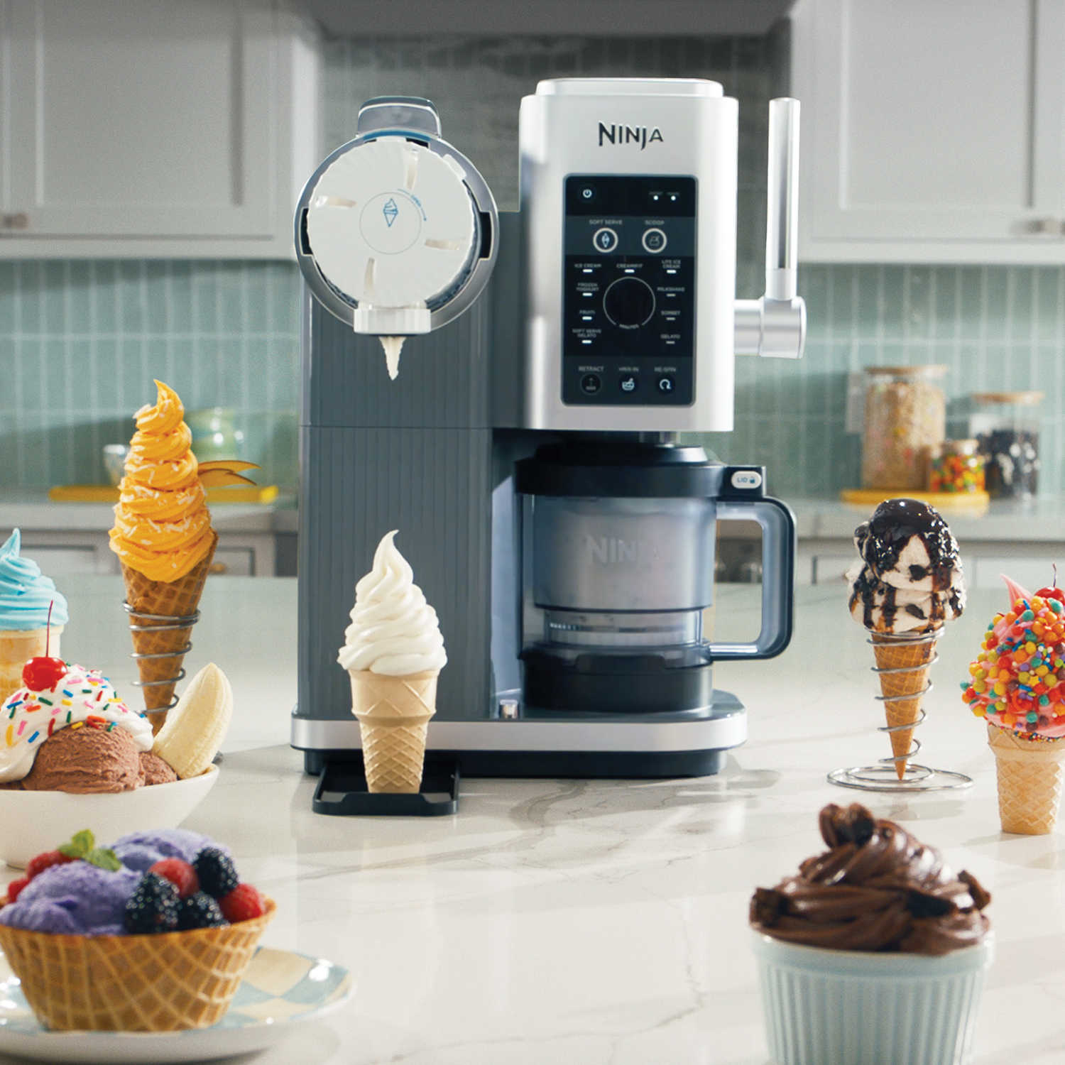 Explore 13 frozen treat programs