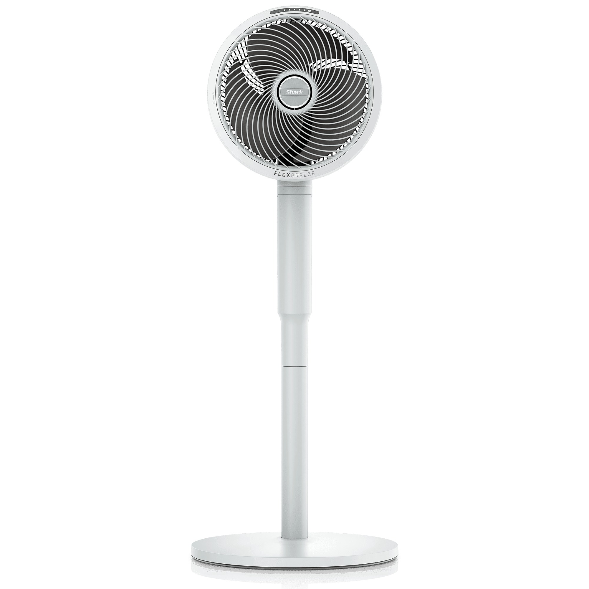 Fans