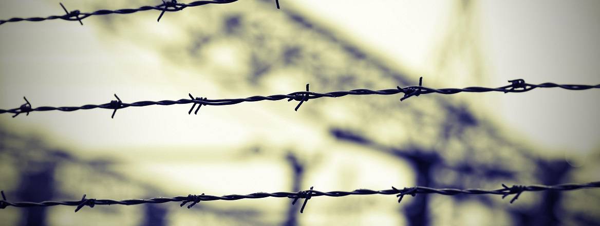 Barbed wire