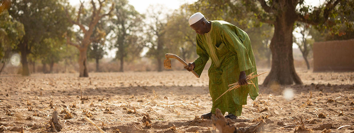 Turned to dust: a farmer in Mali facing the consequences of drought as a result of shifting weather patterns