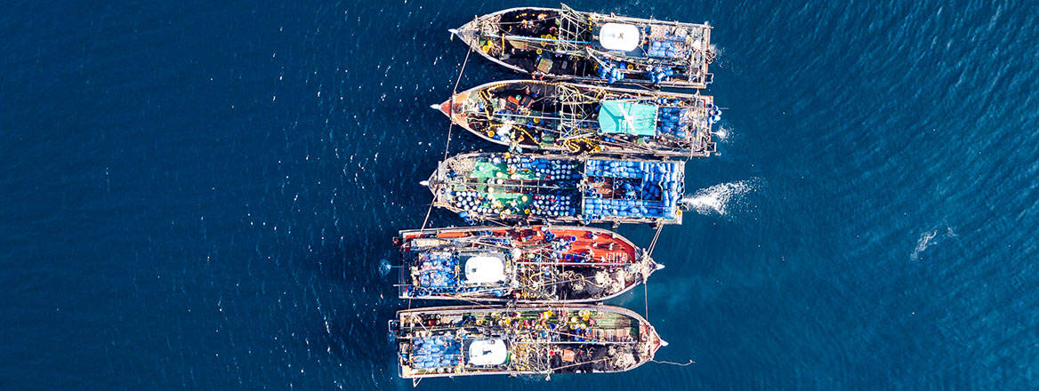 Let off the hook: fishing trawlers operating illegally together on the open ocean. Image: whitcomberd / Adobe Stock