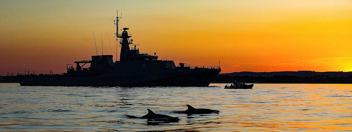HMS Tamar conducts exercises at anchor in Portland, while a local population of dolphins investigates. Courtesy of Defence Imagery / OGL v3.0