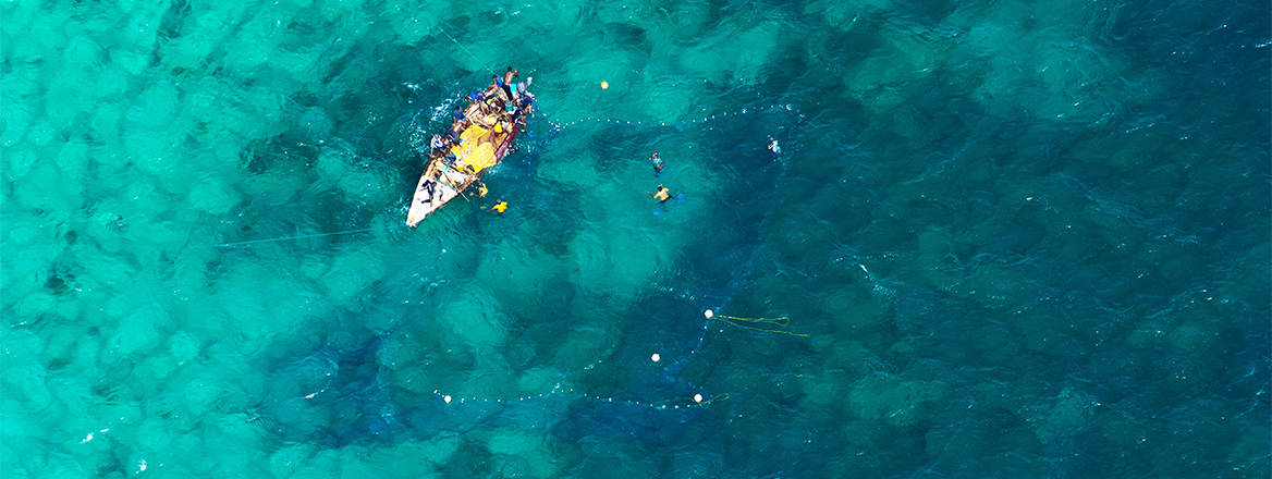 Illegal harvesting of tropical fish, Mafia Channel between Rufiji River estuary and Mafia Island, aerial view, Tanzania