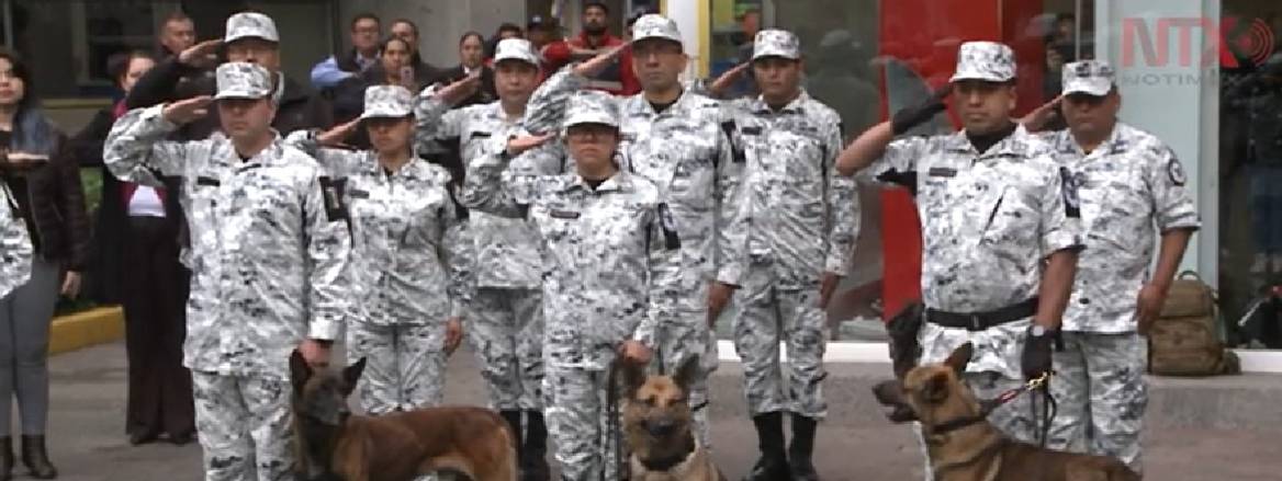Mexican police in white camo uniform
