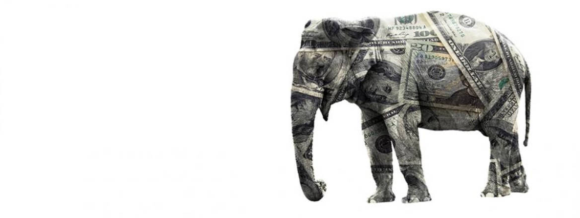 money covering elephant