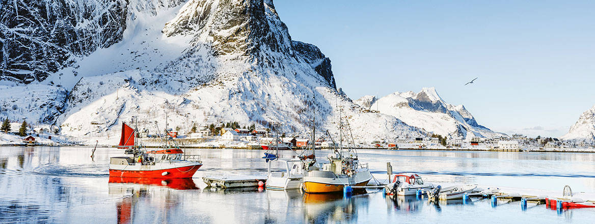Deceptively calm: fishing boats docked in the village of Reine in Norway's Lofoten Islands