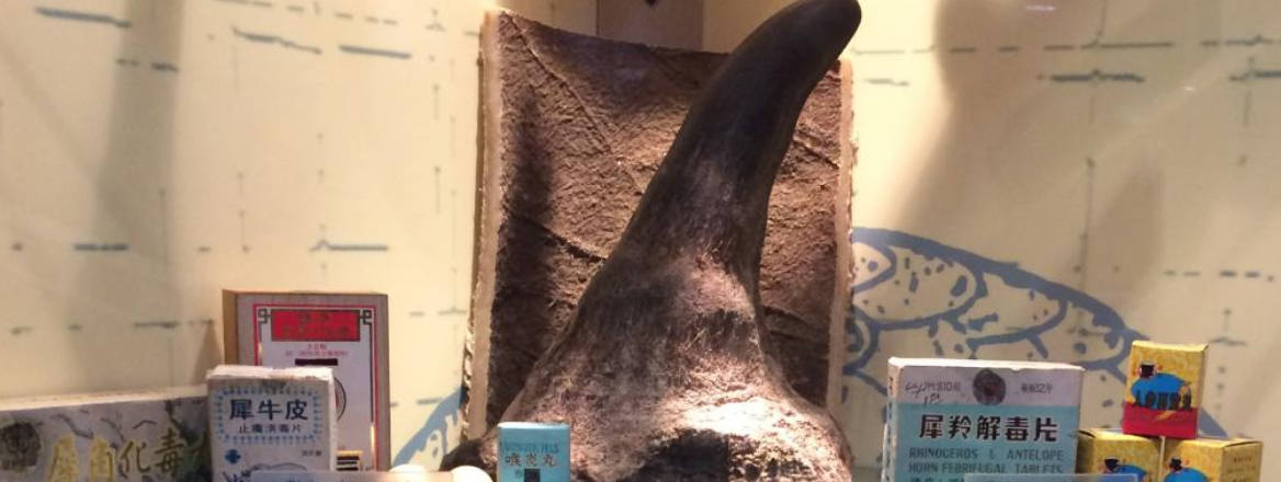 Rhino horn products in Hong Kong