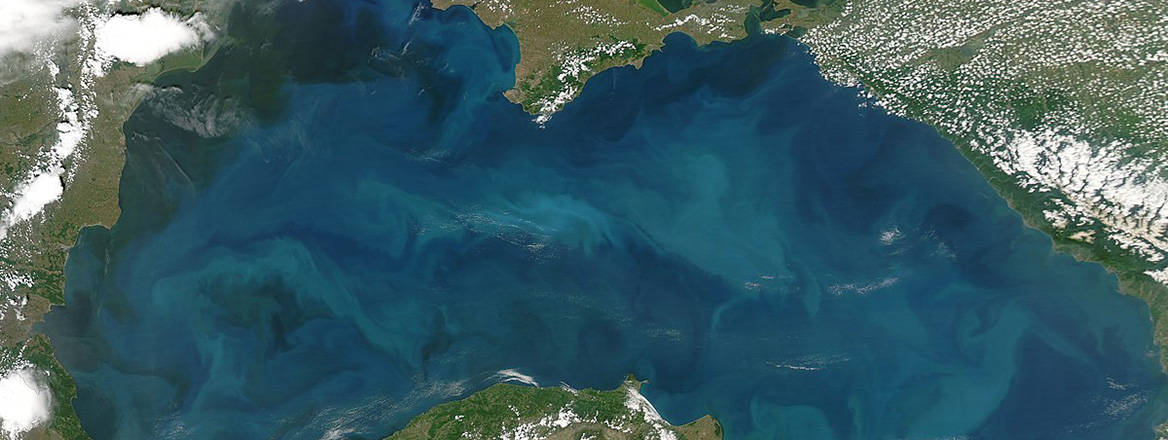 Satellite image of the Black Sea