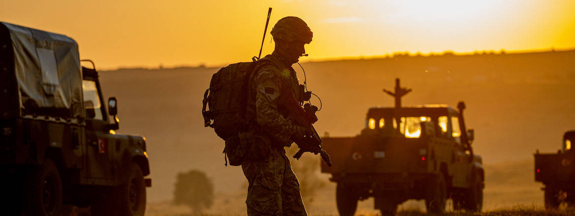 A soldier and vehicles at Exercise Saber Guardian