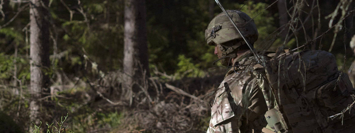 British troops train to fight in Norway's forests during Exercise Trident Juncture. Courtesy of Ed Low/Defence Imagery