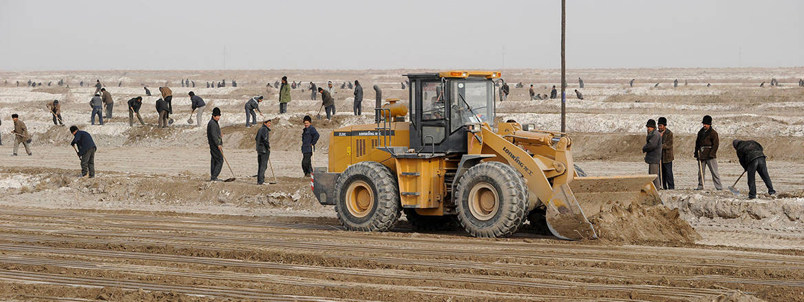 Damaged goods: Uyghur workers prepare irrigation canals for a cotton plantation in Xinjiang, China