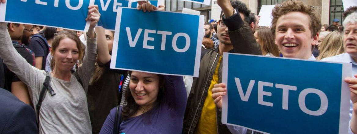 VETO Protests