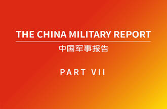 The Distinctive Force Structure of the Expanded PLA Navy Marine Corps