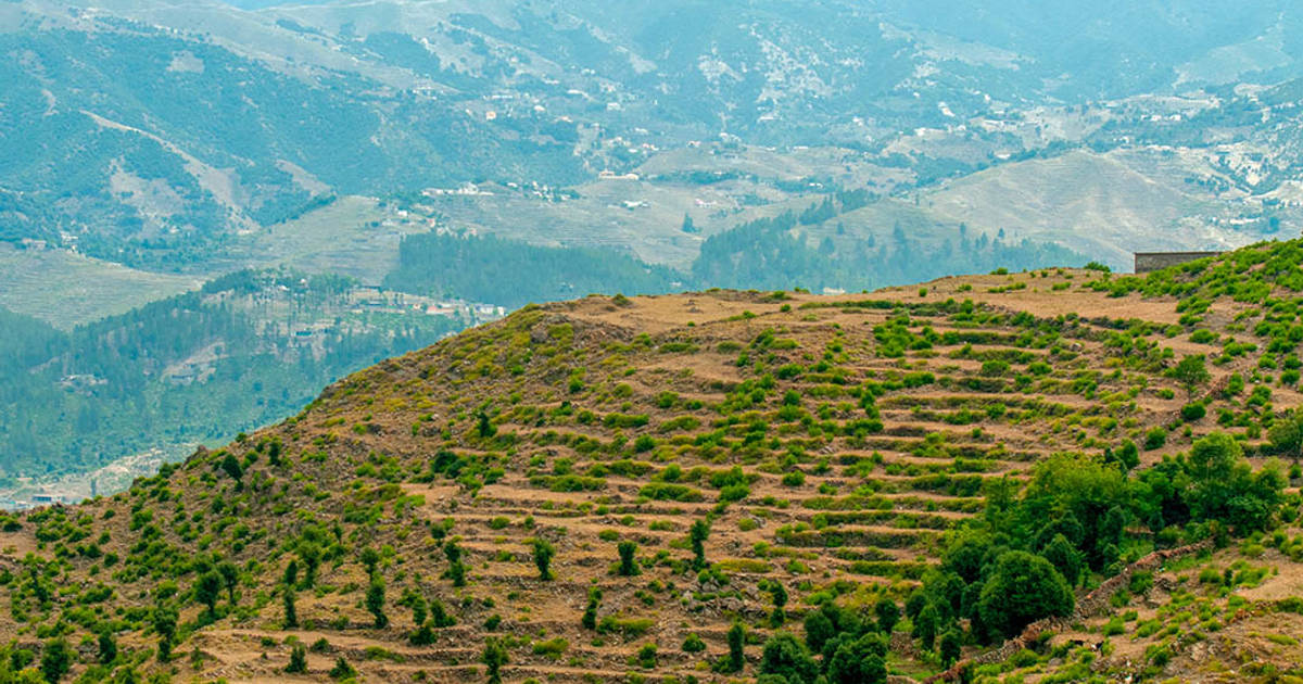 Can Pakistan Play a Role in Regime Change in Afghanistan?